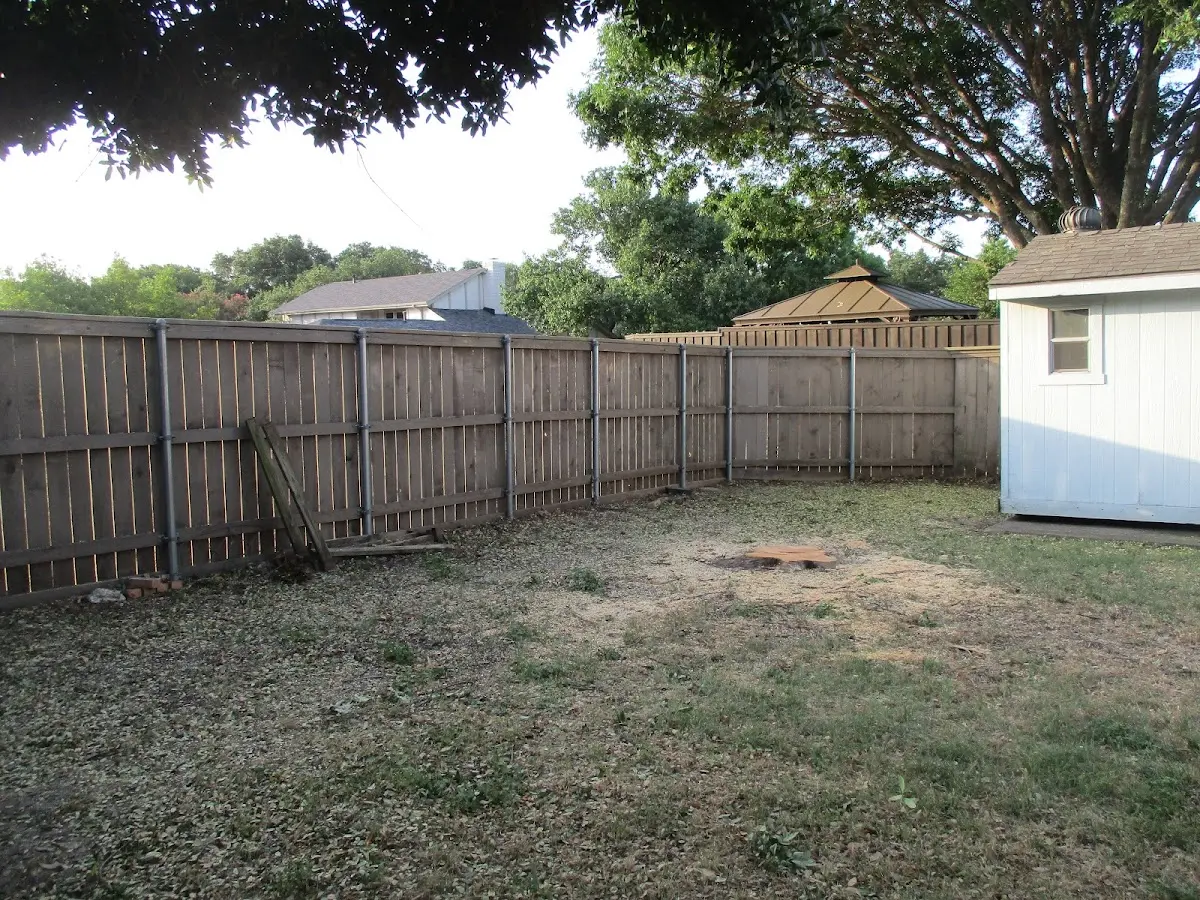 Cleared yard after professional tree removal in Gloversville